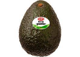 aguacate trops