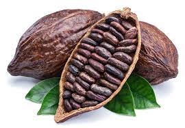 cacao
