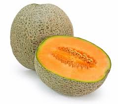 melon cantalupe